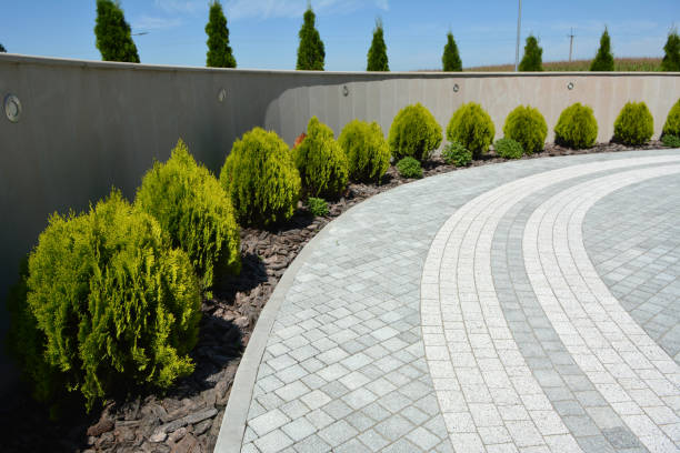 Best Permeable Paver Driveway  in Verona, MS